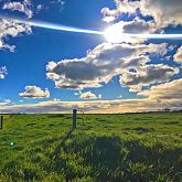 台蛙港粲殖人殖畜轮蛆碾碎机